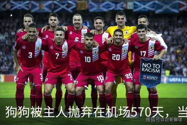 狗狗被主人抛弃在机场570天，当主人回来接它时，看哭了所有人