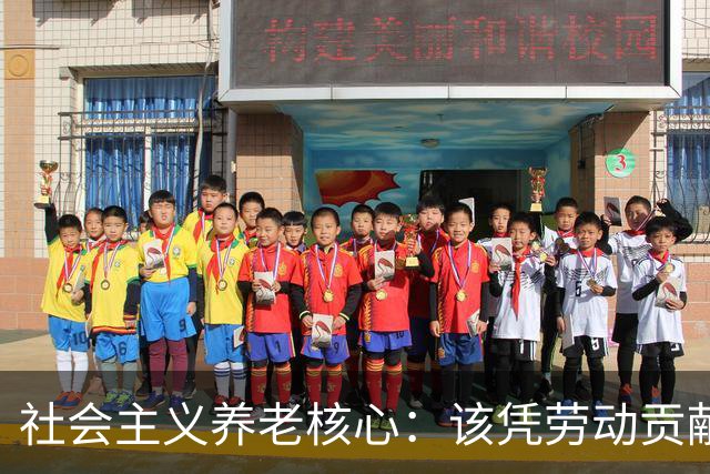 社会主义养老核心：该凭劳动贡献定待遇，绝不该按资本多少分高低